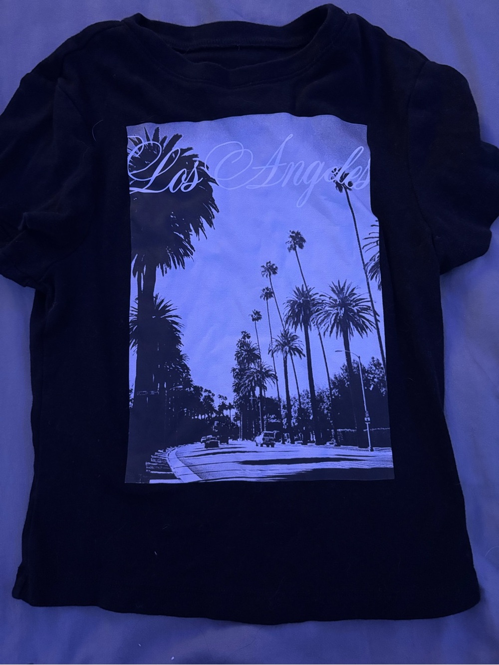 No Boundaries Black Los Angeles Palm Graphic Tee